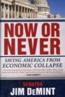Image for Now or never  : saving America from economic collapse