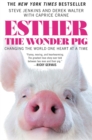 Image for Esther the wonder pig  : changing the world one heart at a time
