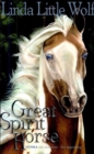 Image for The Great Spirit Horse: Otoka (Oh-Doh-Kah) - The Beginning