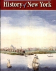 Image for A Knickerbocker&#39;s History of New York