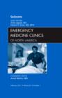 Image for Seizures, An Issue of Emergency Medicine Clinics : Volume 29-1