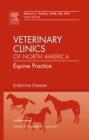 Image for Endocrine diseases  : equine practice