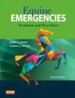 Image for Equine emergencies  : treatment and procedures