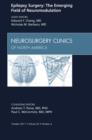 Image for Epilepsy surgery: the emerging field of neuromodulation