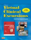 Image for Virtual clinical excursions 3.0 for medical-surgical nursing  : concepts and practice