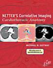 Image for Netter&#39;s correlative imaging: cardiothoracic anatomy