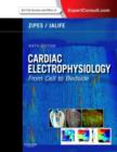 Image for Cardiac electrophysiology  : from cell to bedside