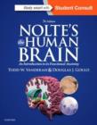 Image for Nolte&#39;s The Human Brain