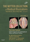 Image for The Netter collection of medical illustrations.: (Spinal cord and peripheral motor and sensory systems) : Volume 7,