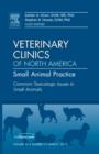Image for Common Toxicologic Issues in Small Animals, An Issue of Veterinary Clinics: Small Animal Practice