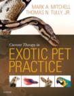 Image for Current therapy in exotic pet practice