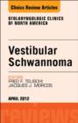 Image for Vestibular schwannoma: evidence-based treatment : v. 45, no. 2