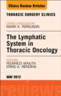 Image for The lymphatic system in thoracic oncology : 22-2