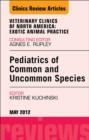 Image for Pediatrics of common and uncommon species