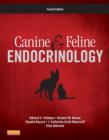 Image for Canine &amp; feline endocrinology