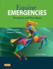 Image for Equine emergencies: treatment and procedures