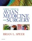 Image for Current Therapy in Avian Medicine and Surgery