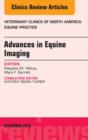 Image for Advances in equine imaging