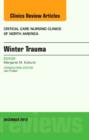 Image for Winter Trauma, An Issue of Critical Care Nursing Clinics