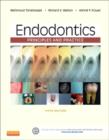 Image for Endodontics