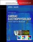 Image for Cardiac electrophysiology: from cell to bedside