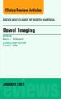 Image for Bowel Imaging, An Issue of Radiologic Clinics of North America