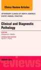Image for Clinical and Diagnostic Pathology, An Issue of Veterinary Clinics: Exotic Animal Practice : Volume 16-1