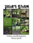 Image for Jacob&#39;s Storm