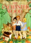 Image for The Enchanted Wood (Faraway Tree #1)