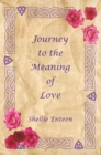 Image for Journey to the Meaning of Love