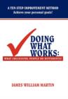 Image for Doing What Works : What Successful People Do Differently