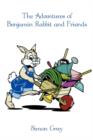 Image for The Adventures of Benjamin Rabbit and Friends