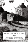 Image for Remains of a Year