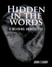 Image for Hidden in the Words : a Meaning Undetected