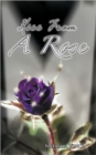 Image for Kiss from a Rose