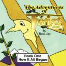 Image for The Adventures of Twig