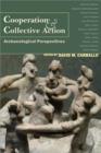 Image for Cooperation &amp; collective action: archaeological perspectives