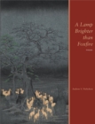 Image for Lamp Brighter than Foxfire