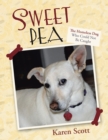 Image for Sweet Pea: The Homeless Dog Who Could Not Be Caught