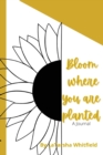 Image for Bloom Where You Are Planted