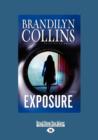 Image for Exposure : A Novel