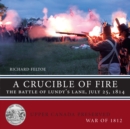 Image for A crucible of fire  : the battle of Lundy&#39;s Lane, July 25, 1814