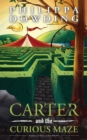 Image for Carter and the Curious Maze