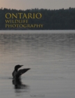 Image for Ontario Wildlife Photography