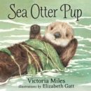 Image for Sea Otter Pup
