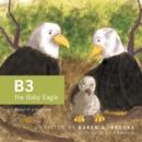 Image for B3 the Baby Eagle