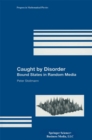 Image for Caught By Disorder: Bound States in Random Media