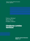 Image for Ginzburg-landau Vortices