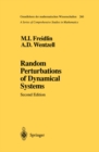 Image for Random Perturbations of Dynamical Systems