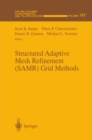 Image for Structured Adaptive Mesh Refinement (SAMR) Grid Methods